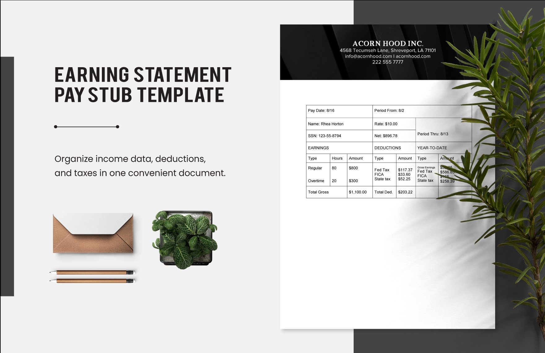 Earning Statement Pay Stub Template
