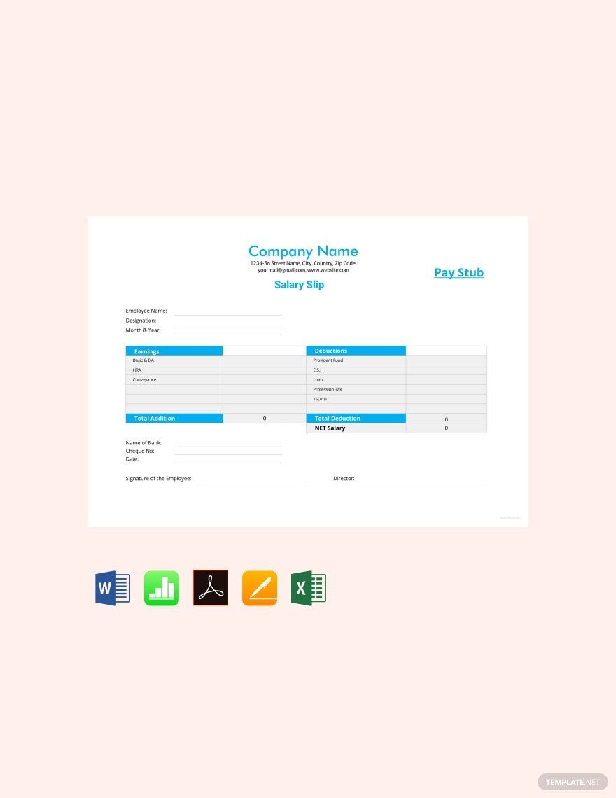 Salary Slip Pay Stub Template in Word, Google Docs, PDF, Google Sheets