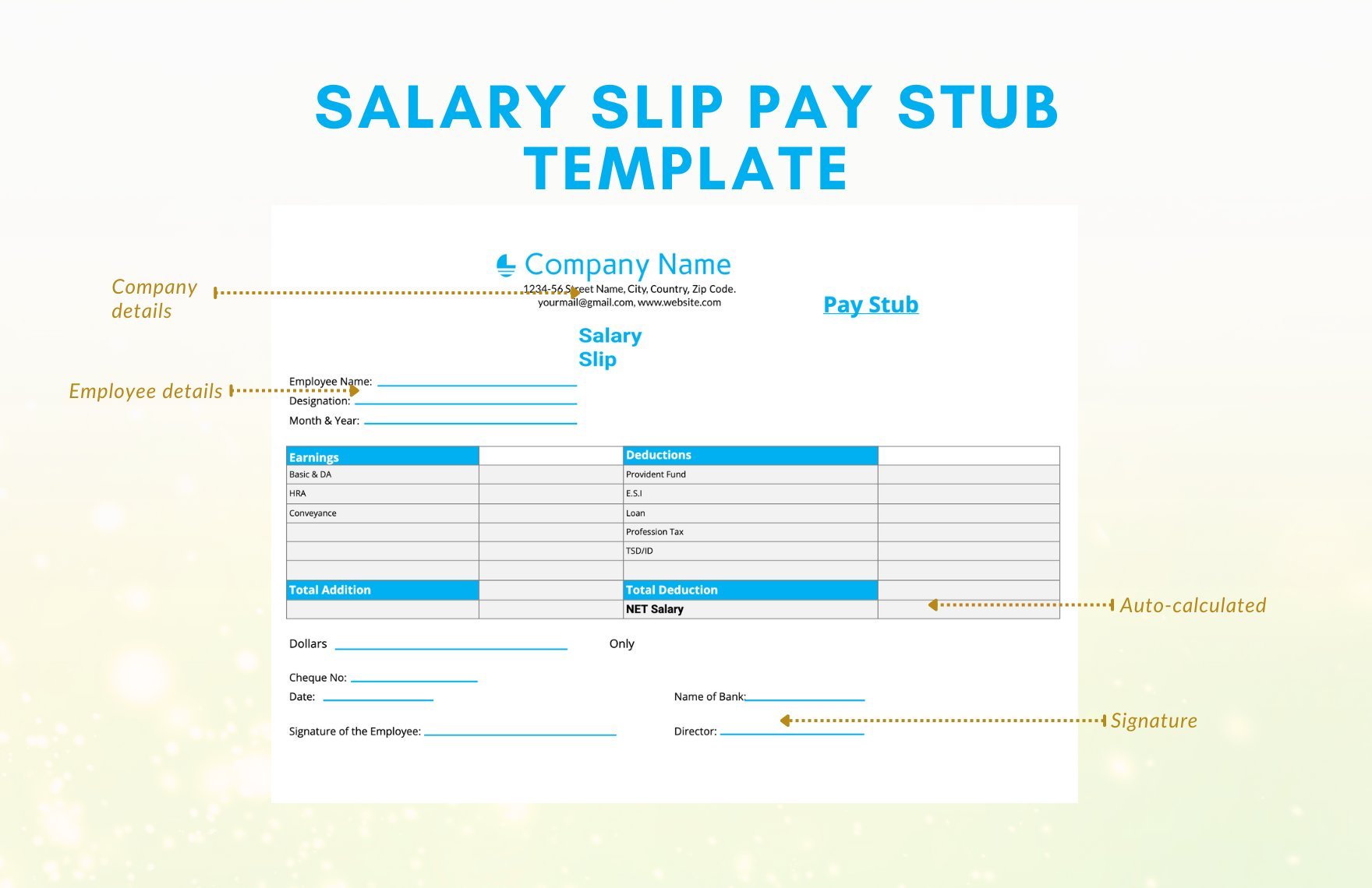 Salary Slip Pay Stub Template