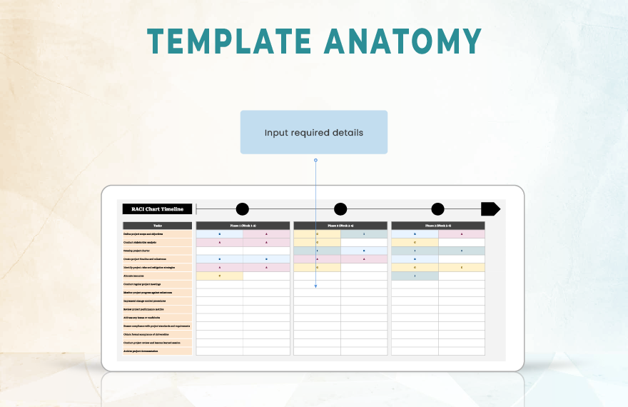 RACI Chart Timeline Template