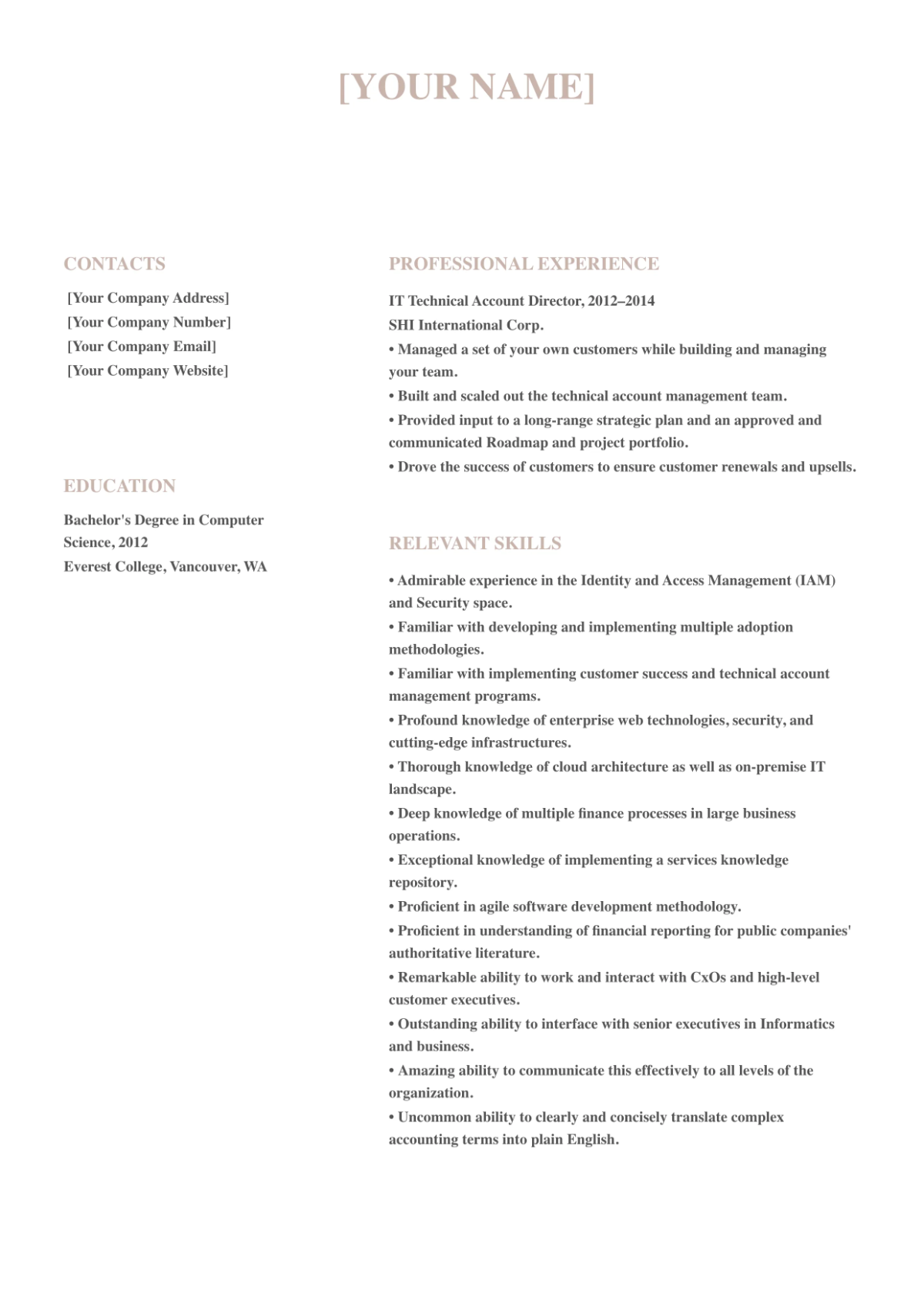 Free IT Technical Account Director Resume Template to Edit Online