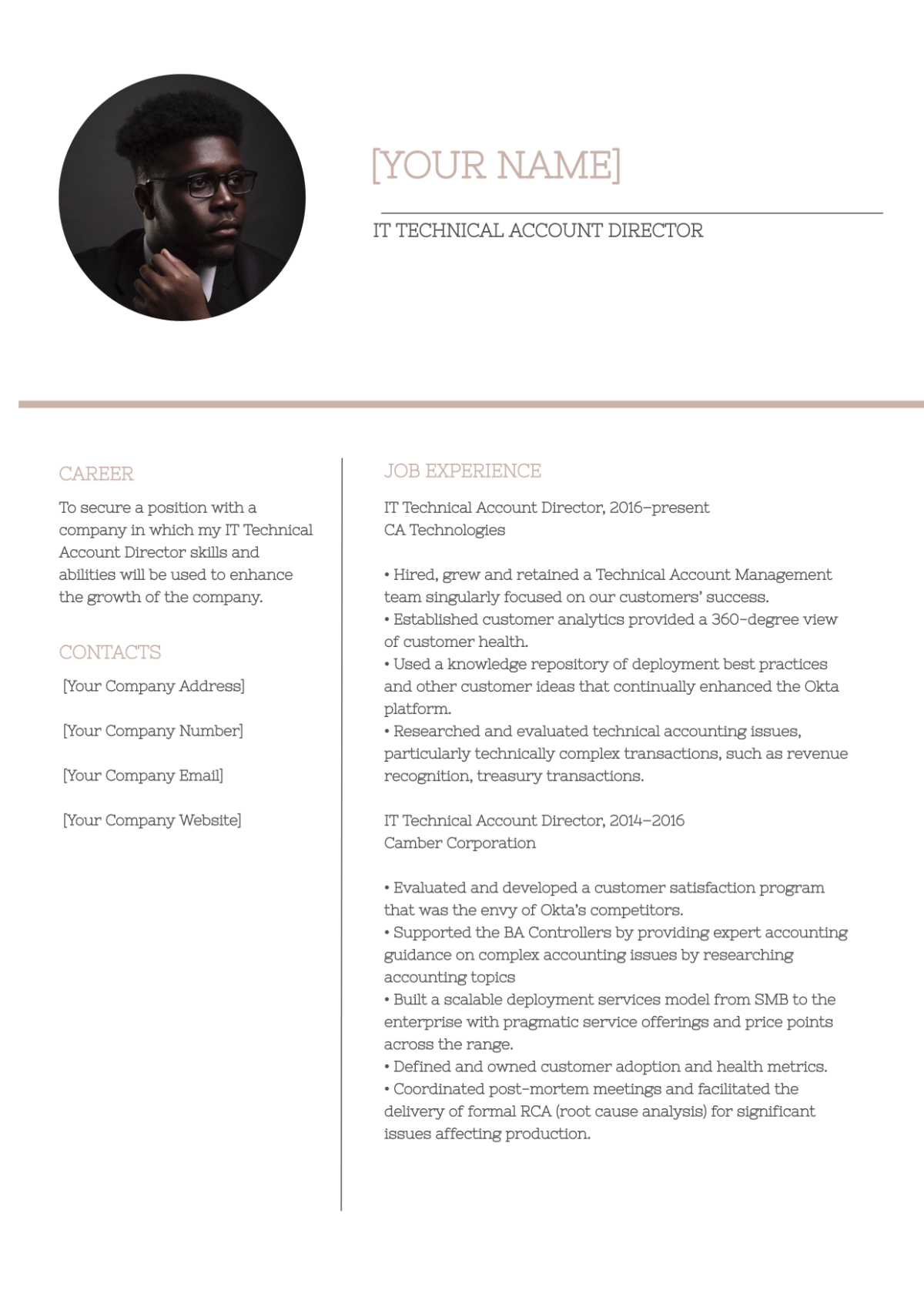 IT Technical Account Director Resume