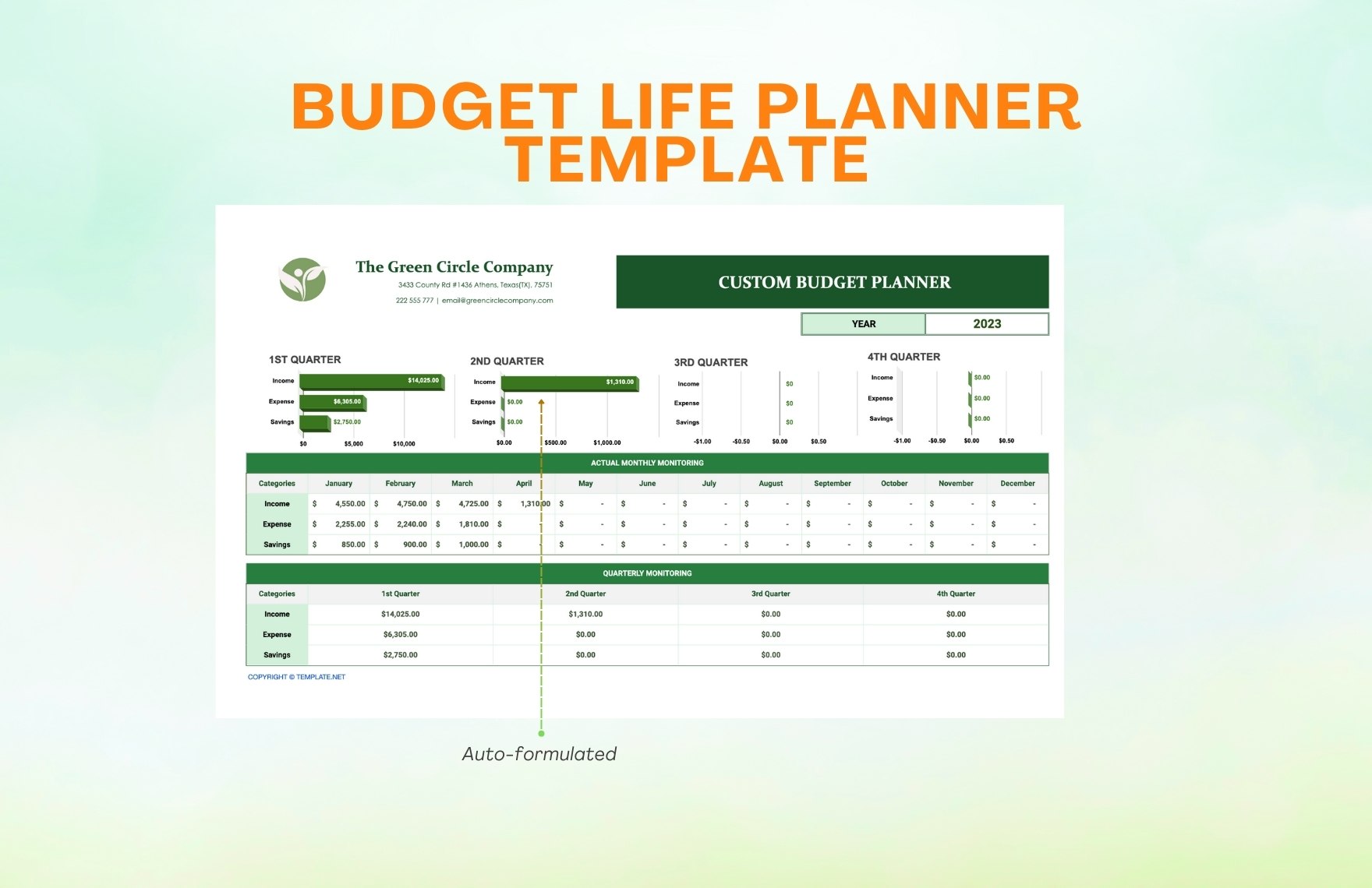 Custom Budget Planner Template