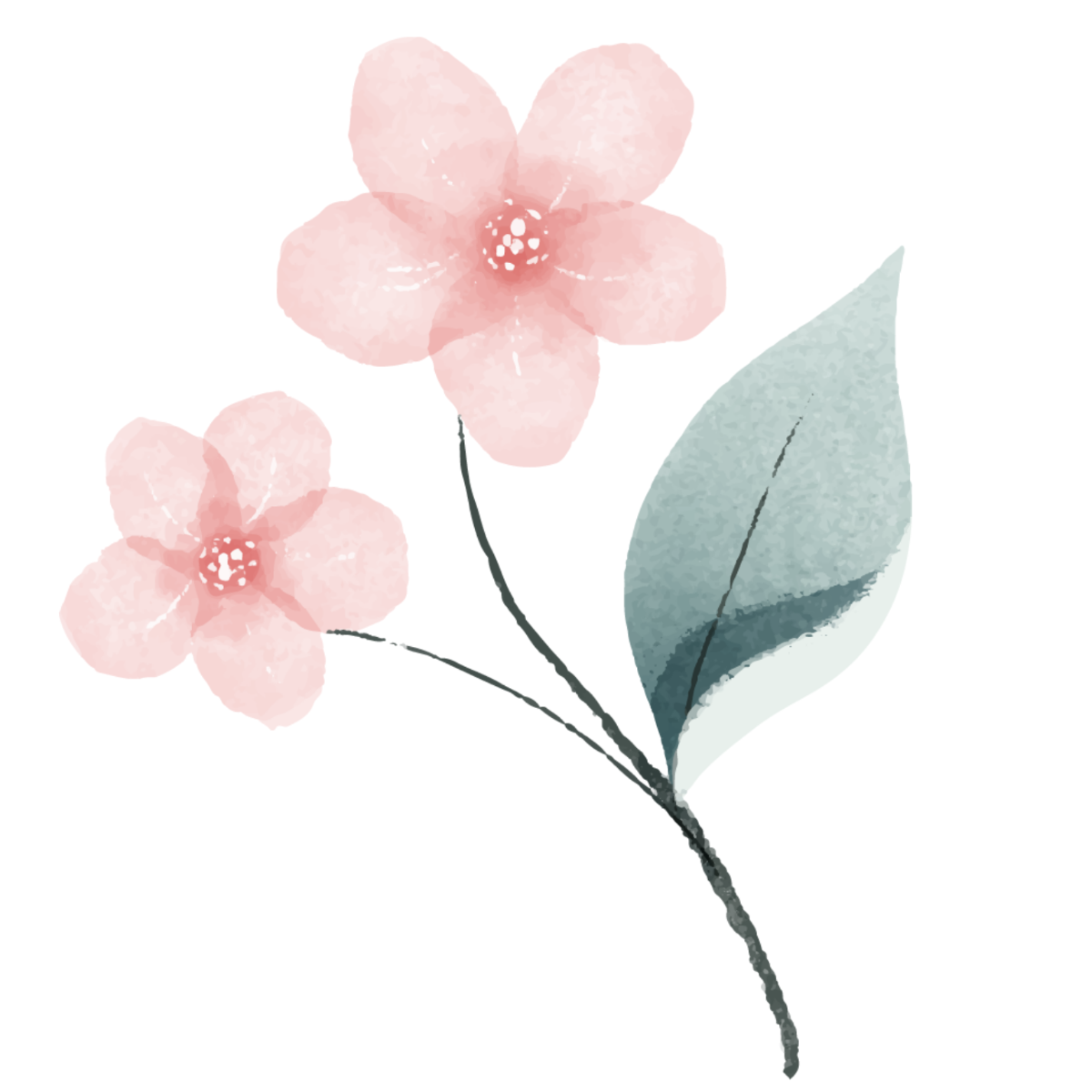 Free Double Pink Watercolor Flower