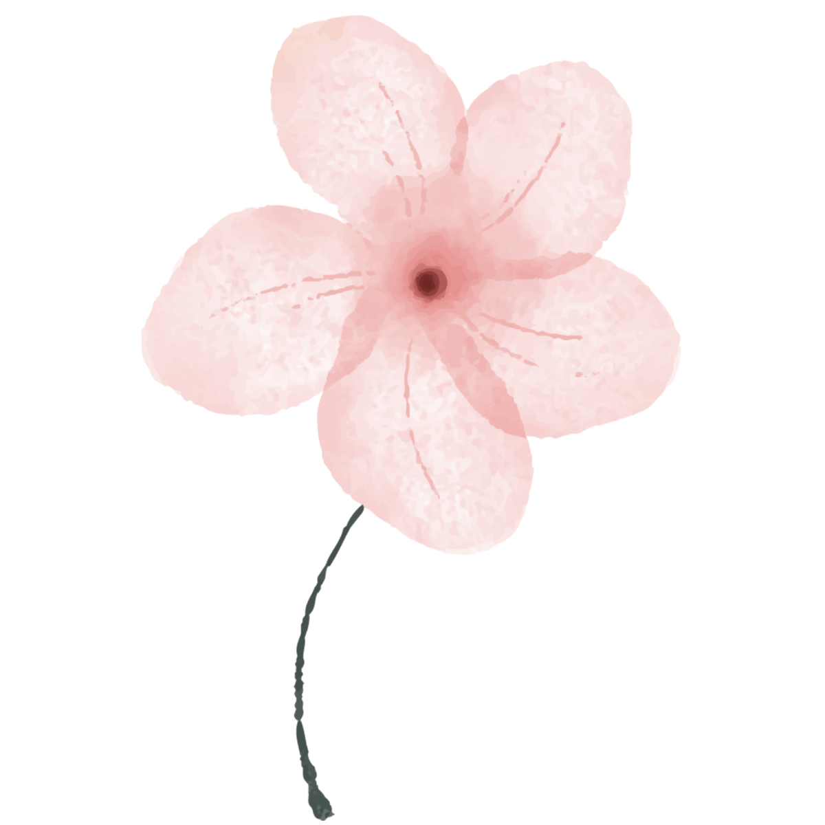 Simple Pink Watercolor Flower