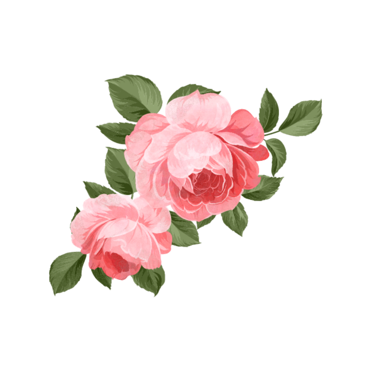 Dusty Rose Flower - Edit Online & Download Example | Template.net