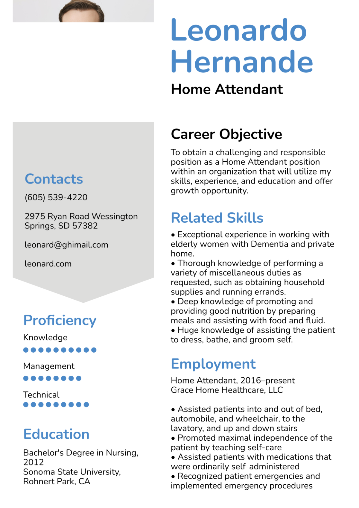 Free Home Attendant Resume