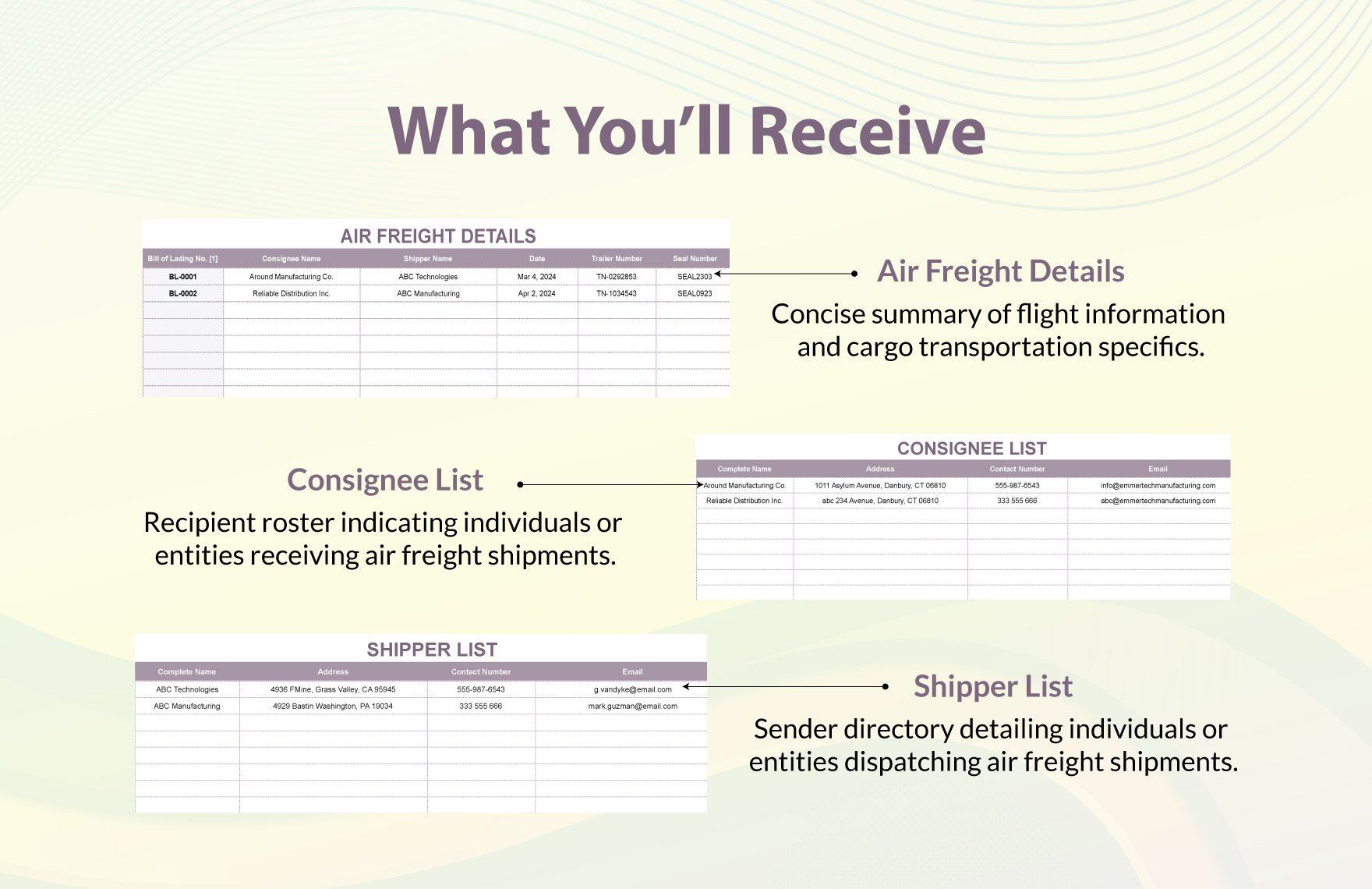 Air Freight Bill of Lading Template