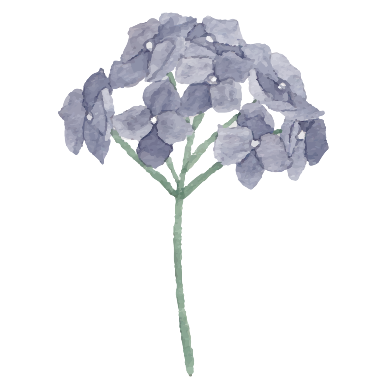 Gray Watercolor Flower