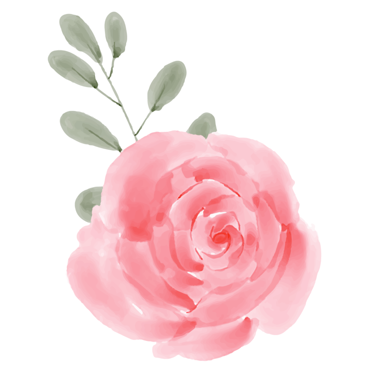 Free Rose Pink Flower