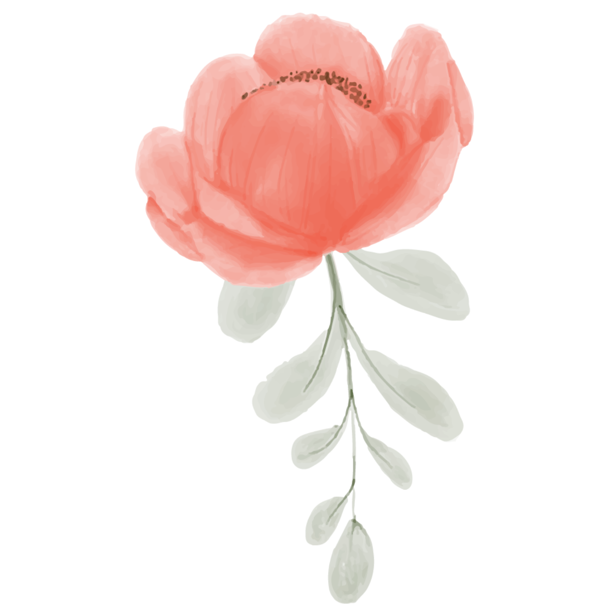 Watercolor Pink Flower
