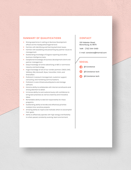 Partner Account Manager Resume Template