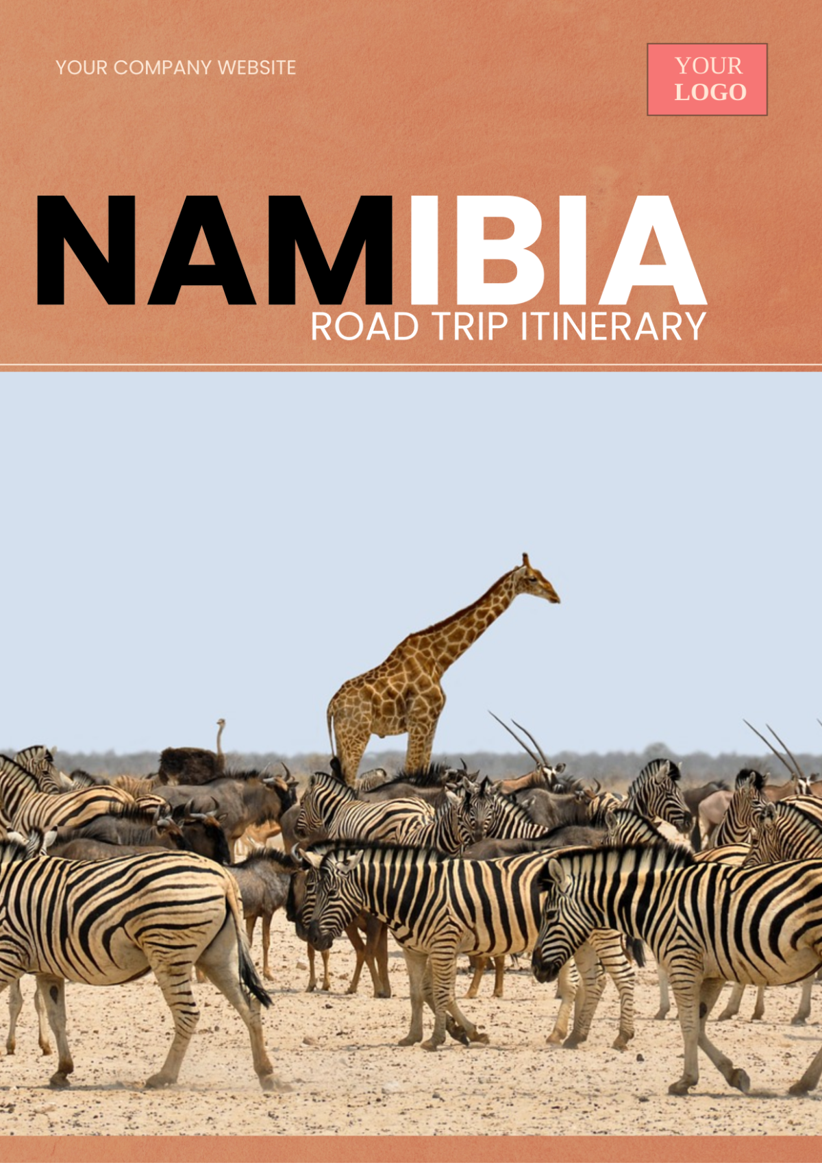 Free Namibia Road Trip Itinerary Template