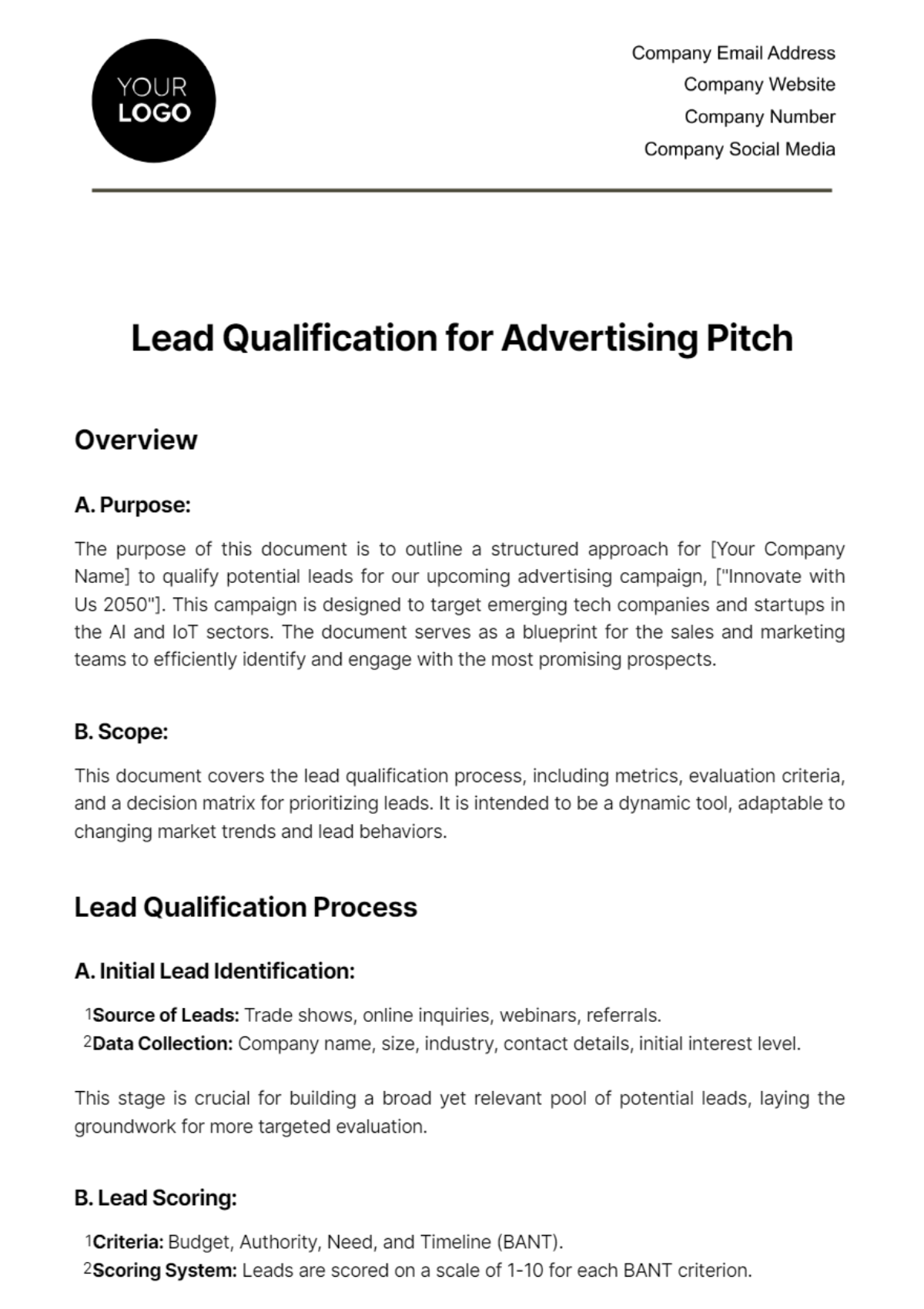 Free Lead Qualification for Advertising Pitch Template