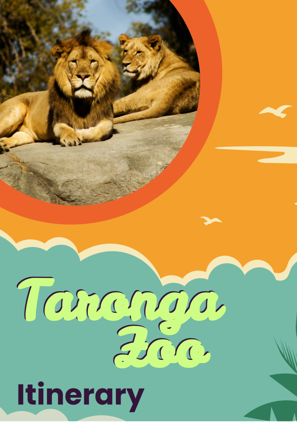 Taronga Zoo Itinerary Template