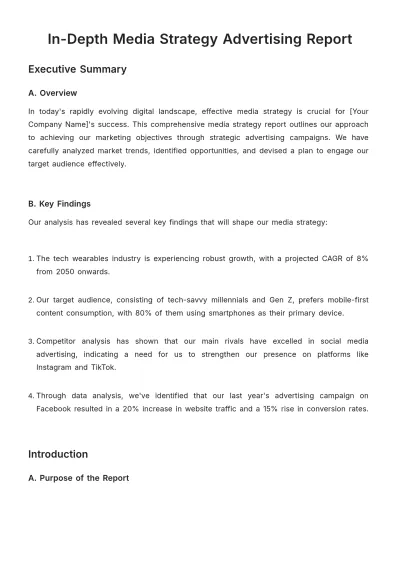 Free In-Depth Media Strategy Advertising Report Template to Edit Online