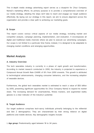 Free In-Depth Media Strategy Advertising Report Template to Edit Online