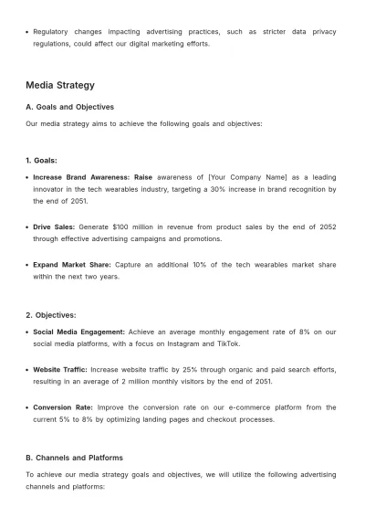Free In-Depth Media Strategy Advertising Report Template to Edit Online