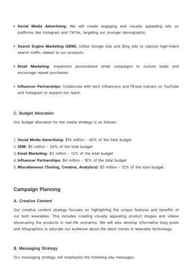 Free In-Depth Media Strategy Advertising Report Template to Edit Online