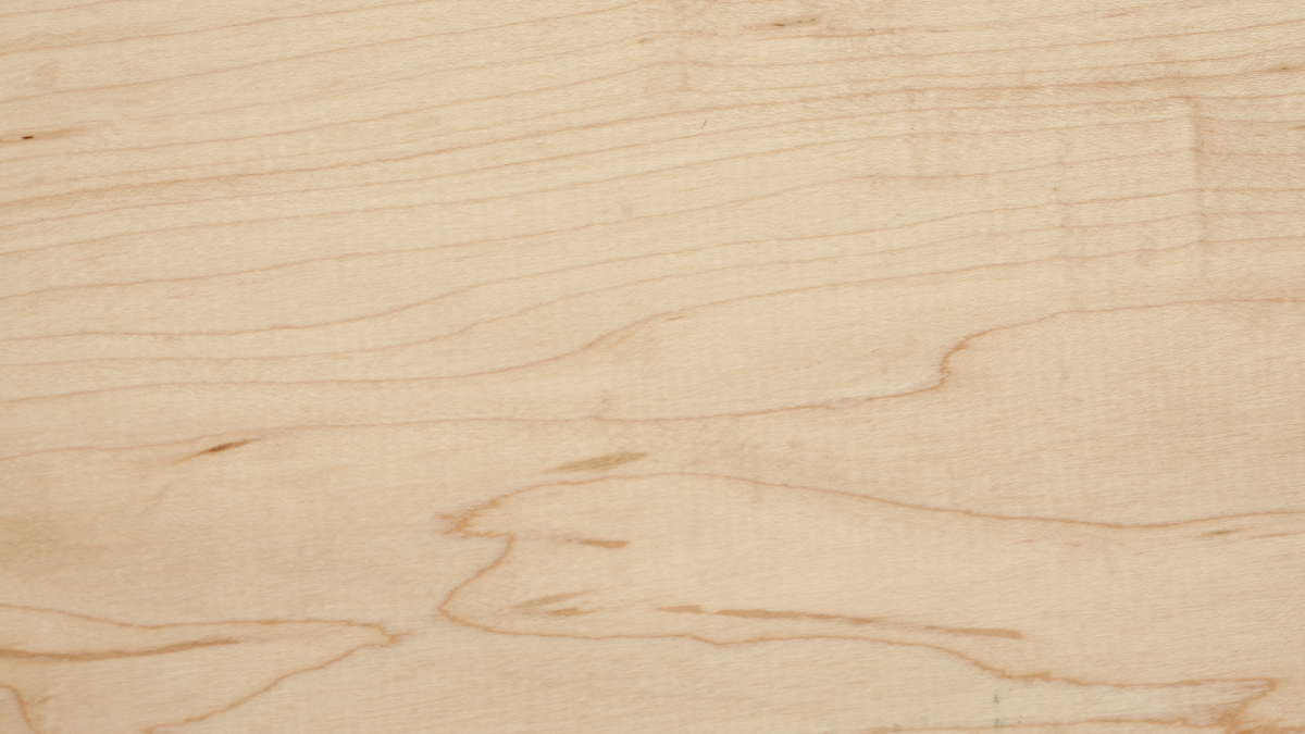 Free Birch Wood Texture Background