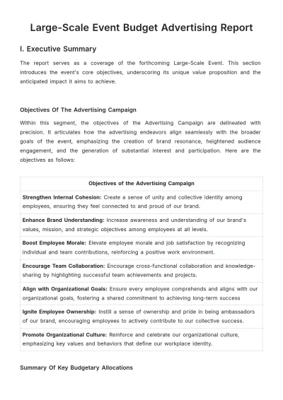 Free Large-Scale Event Budget Advertising Report Template to Edit Online