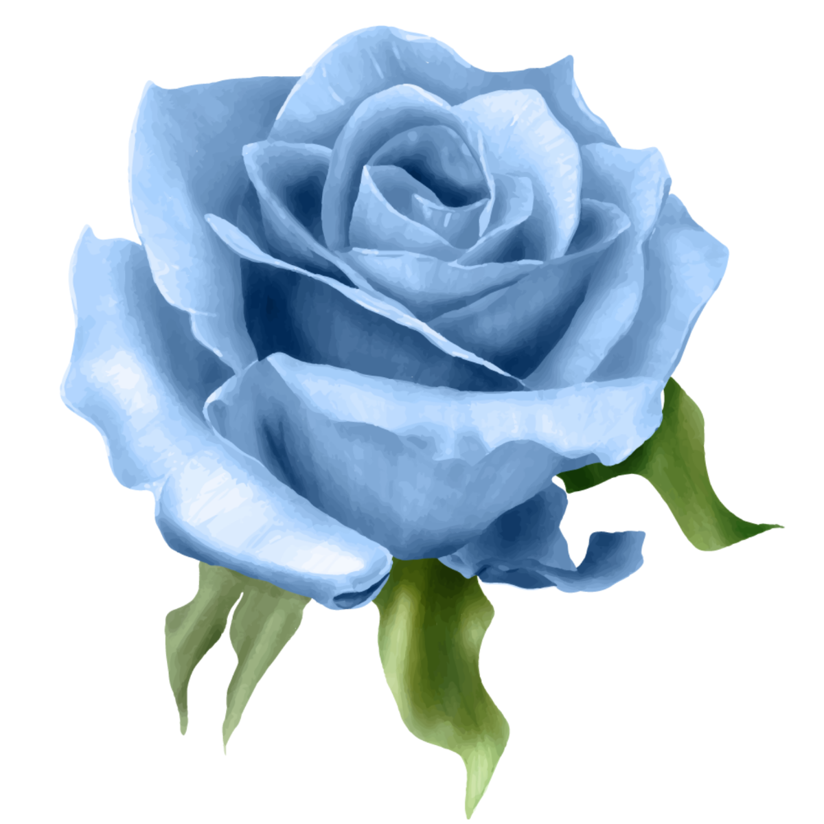 Free Blue Watercolor Rose