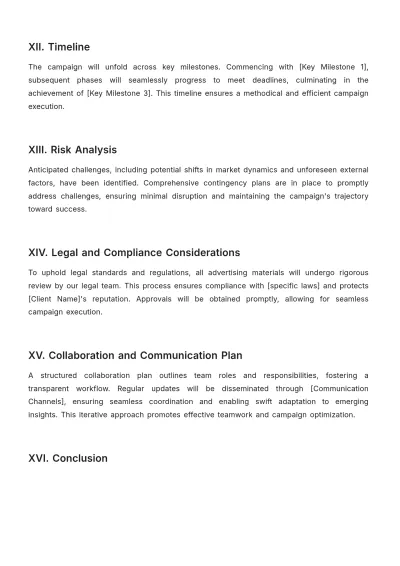 Free Client Customized Advertising Solution Template to Edit Online