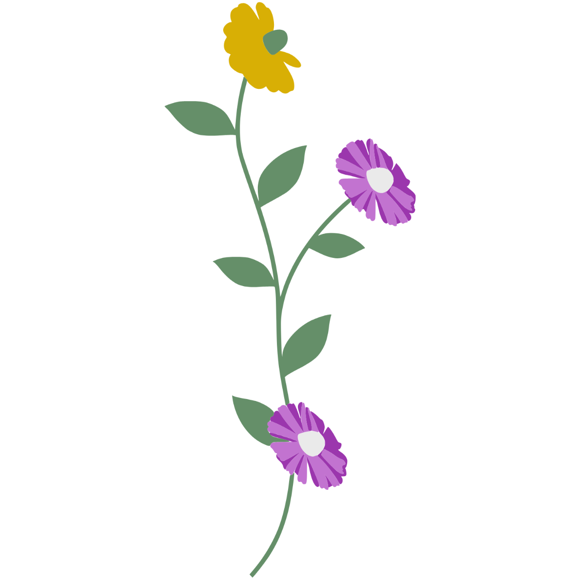 Free Yellow and Purple Flower
