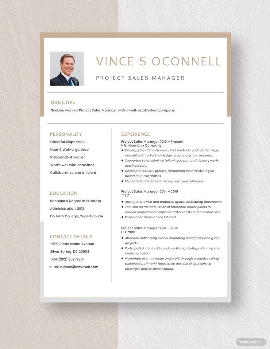 Project Sales Manager Resume