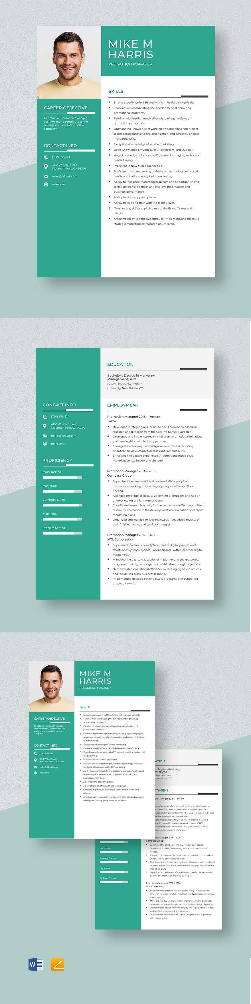 Free Promotion Recommendation Letter for Software Engineer Template ...