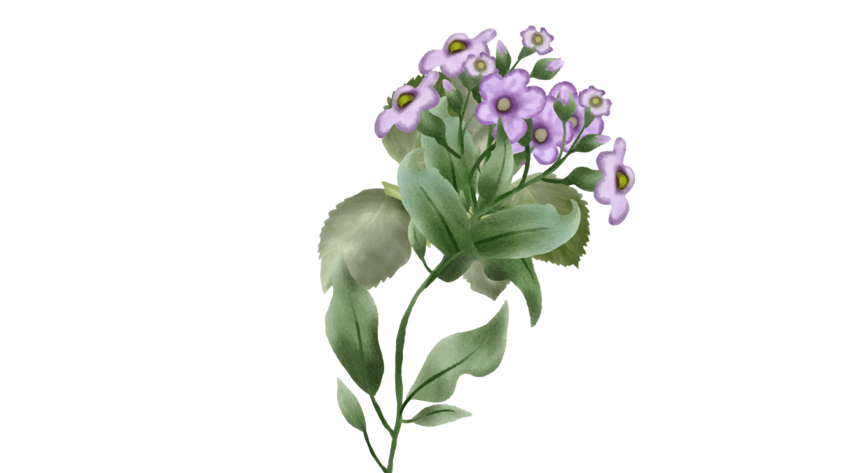 Free Purple small flowers
