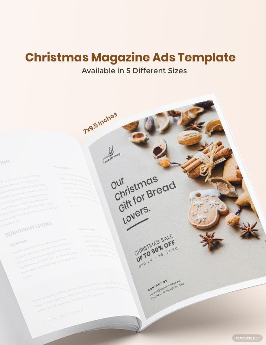 Christmas Magazine Ads Template