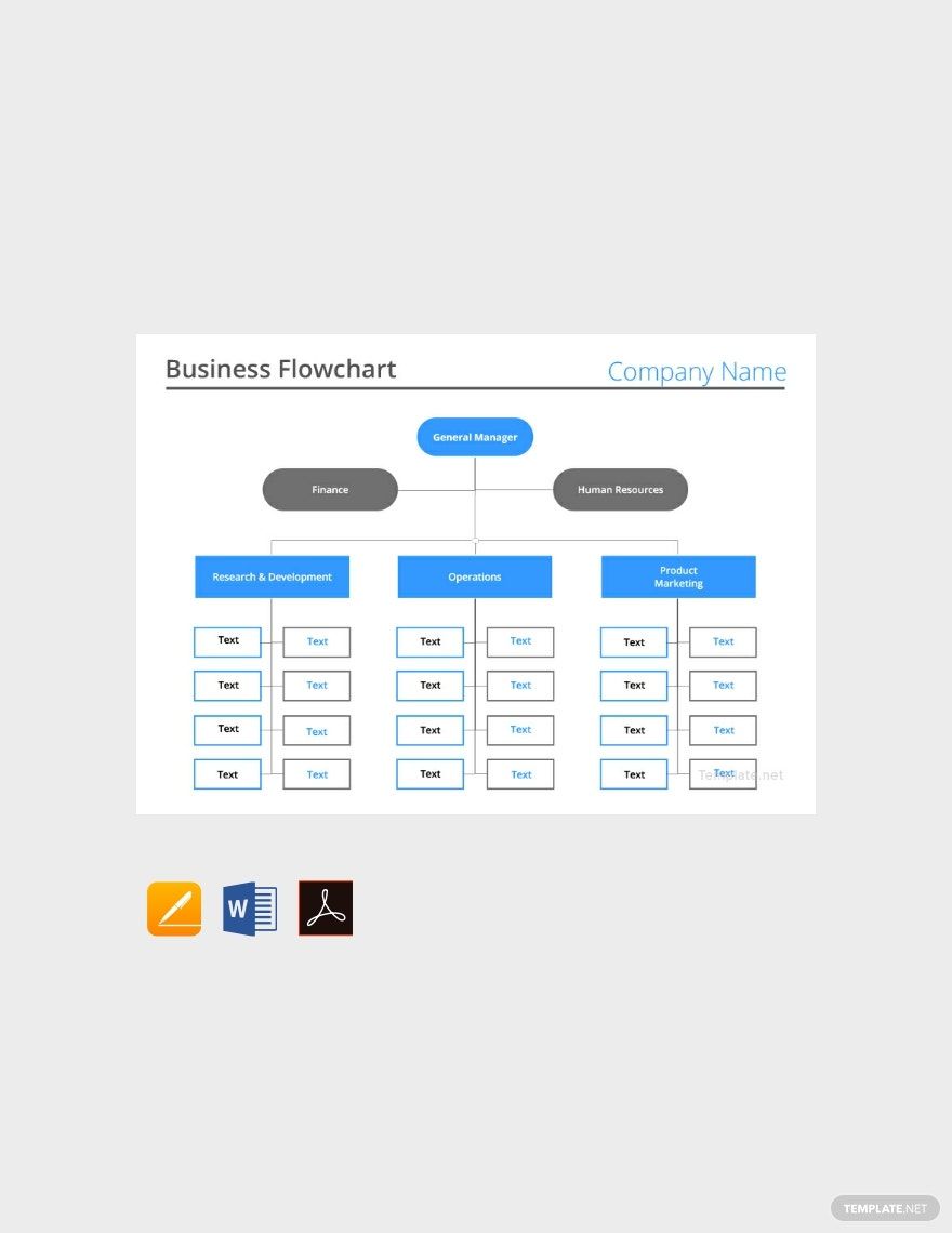 Business Flow chart Template