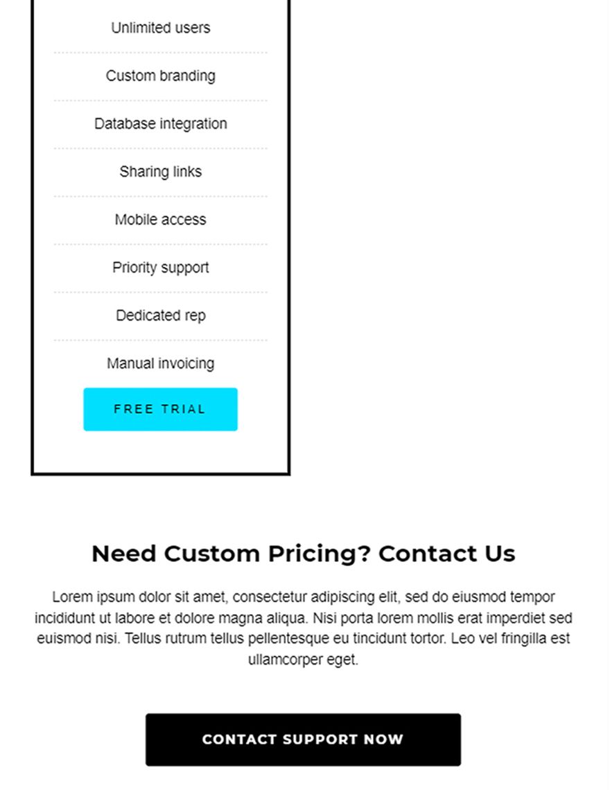 Business Pricing Page 