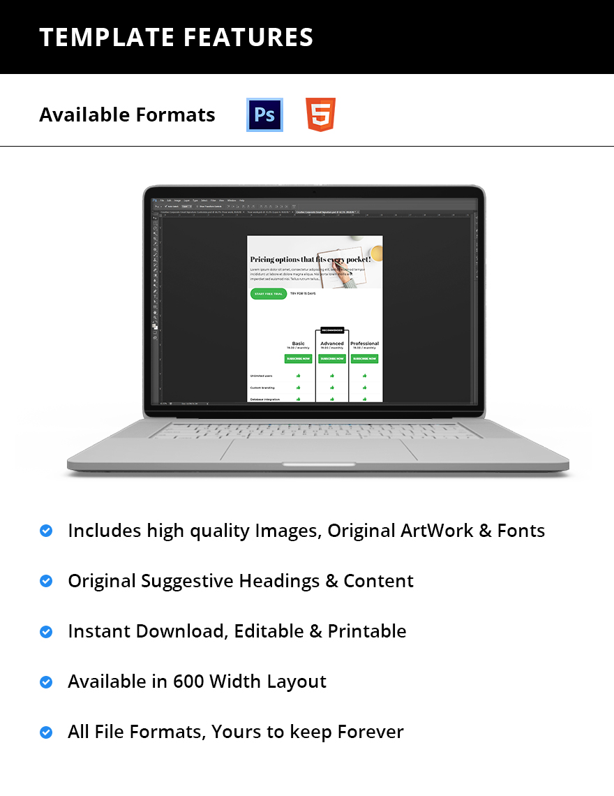 Detailed Pricing Page Template in HTML5 PSD Download Template net