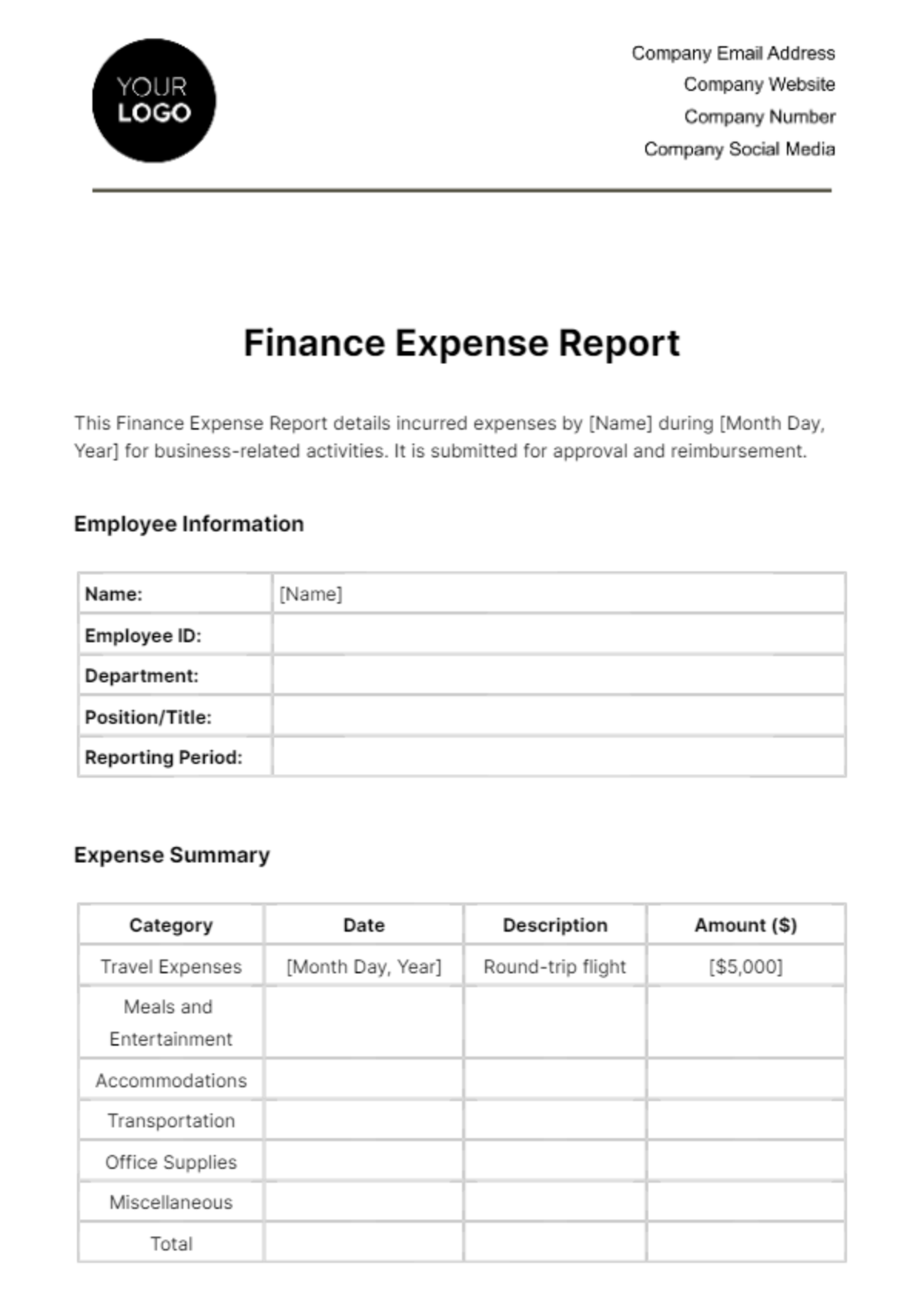 Finance Expense Report Template