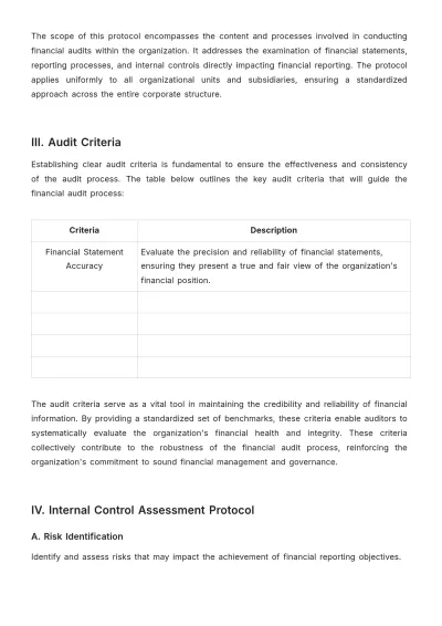 Free Financial Audit Protocol Template to Edit Online