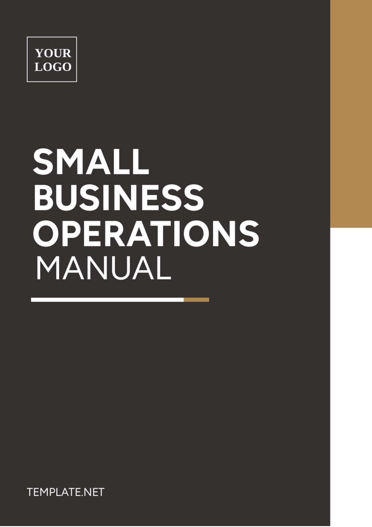 Small Business Operations Manual Template