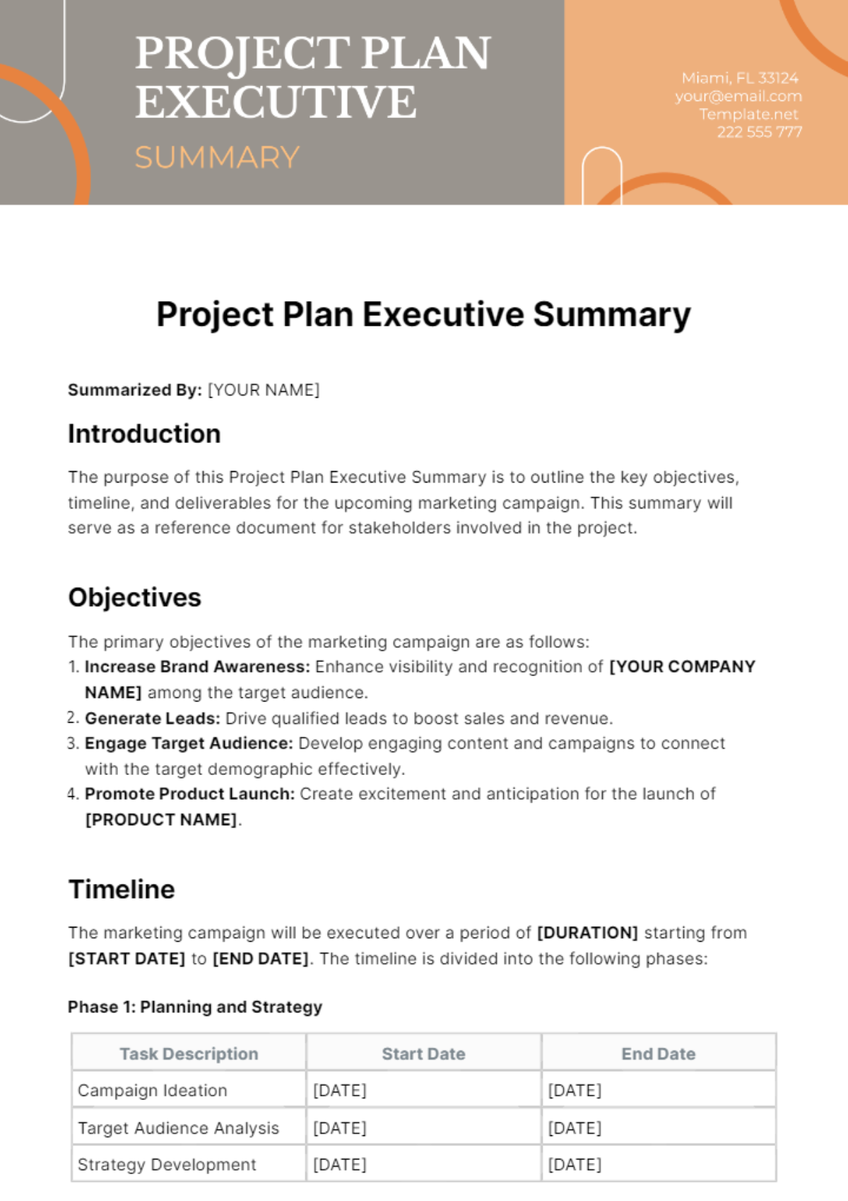 Project Plan Executive Summary Template