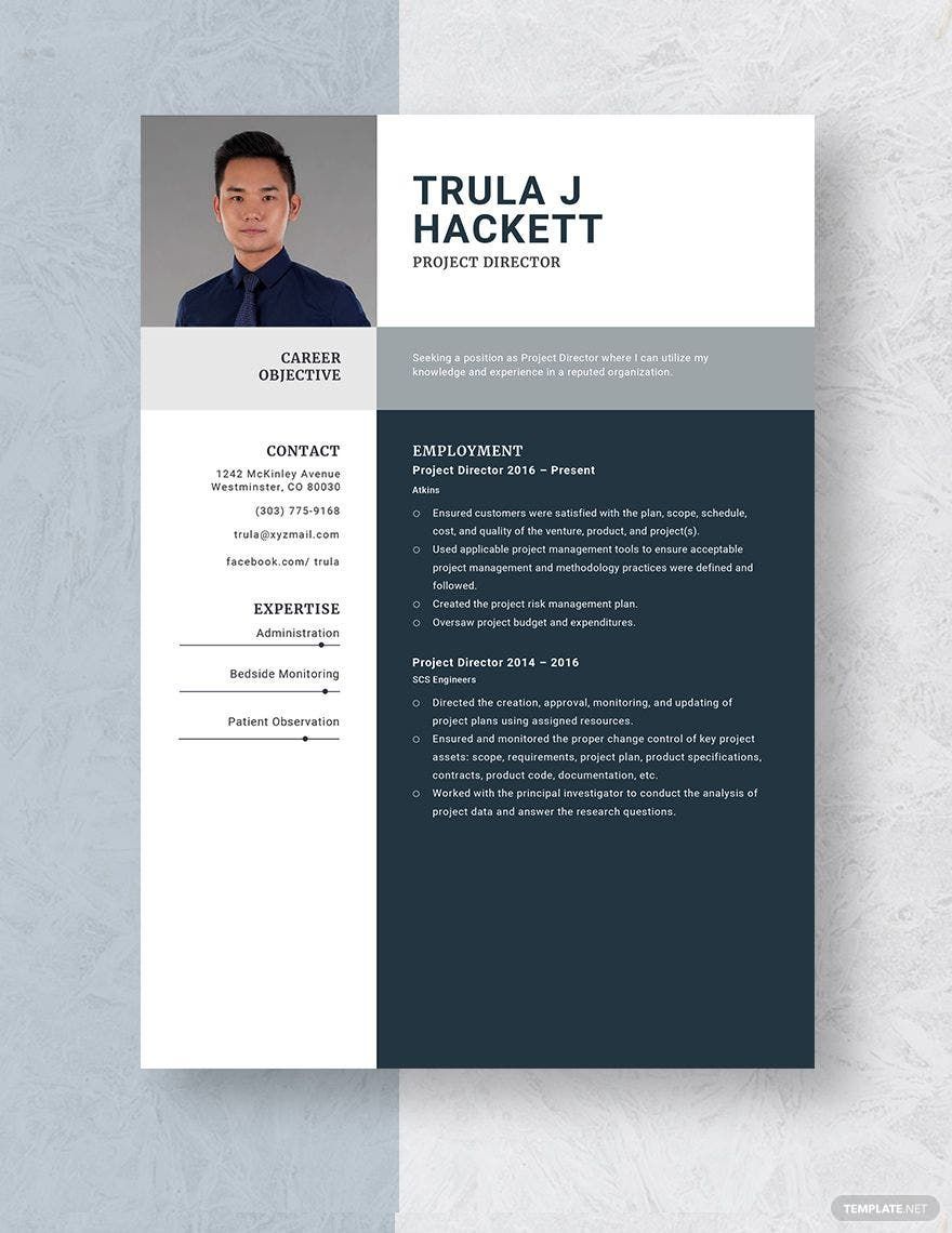 Project Director Resume