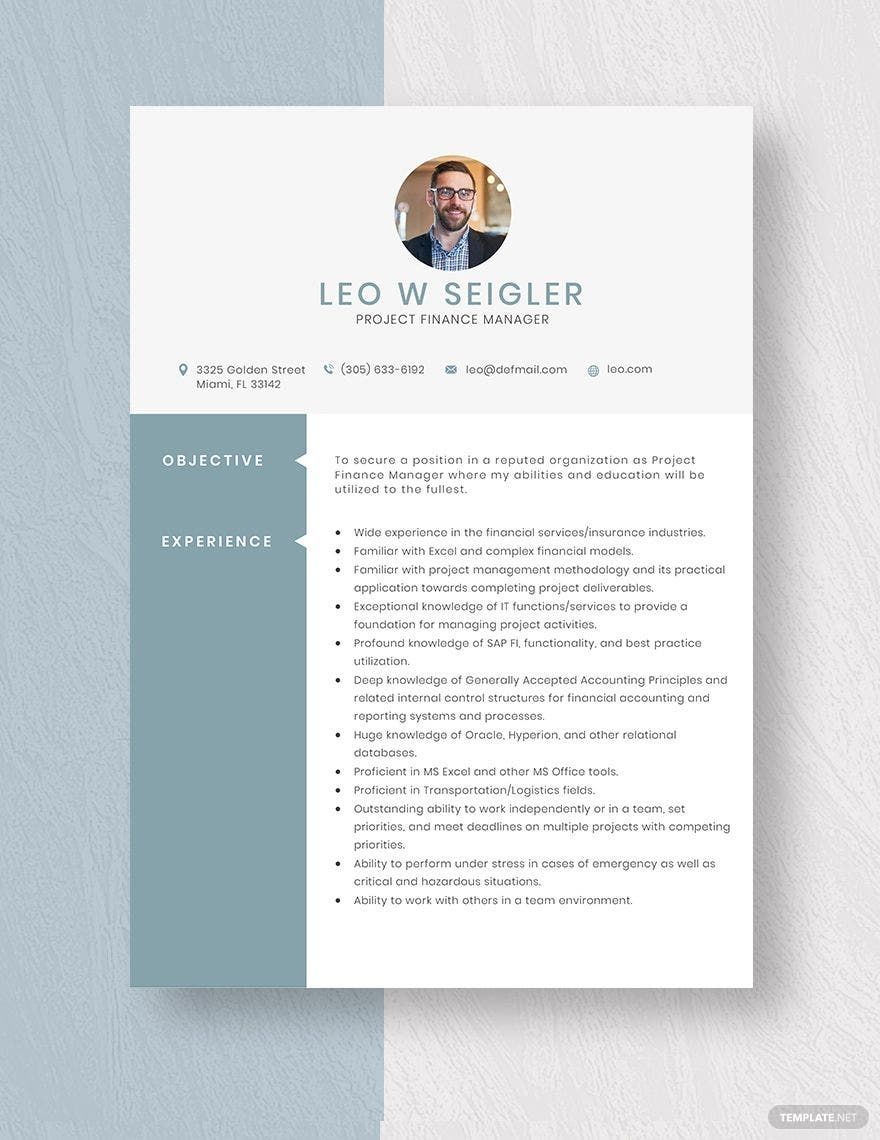 Project Finance Manager Resume Template