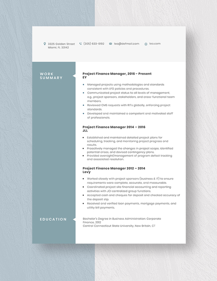 Project Finance Manager Resume Template