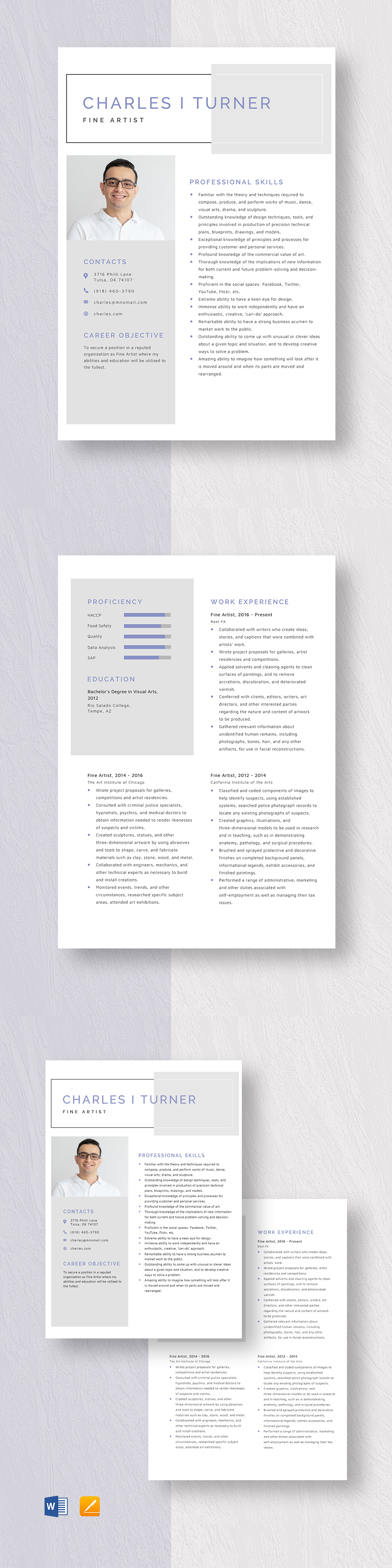 Fine Artist Resume Template Word - Fine Artist Resume Template 1 