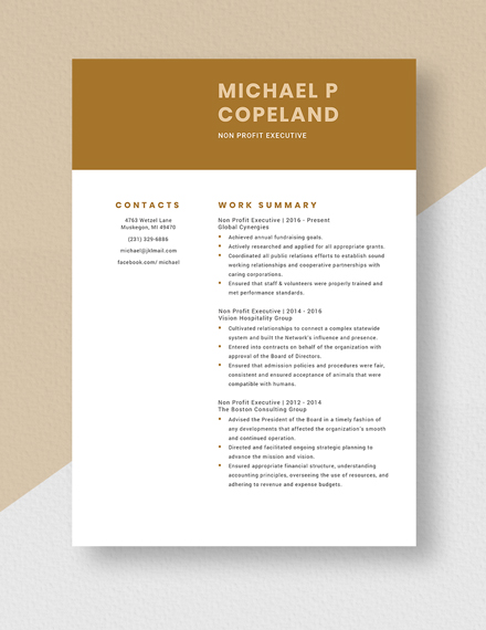 Non Profit Executive Resume Template Word Pages Template Net