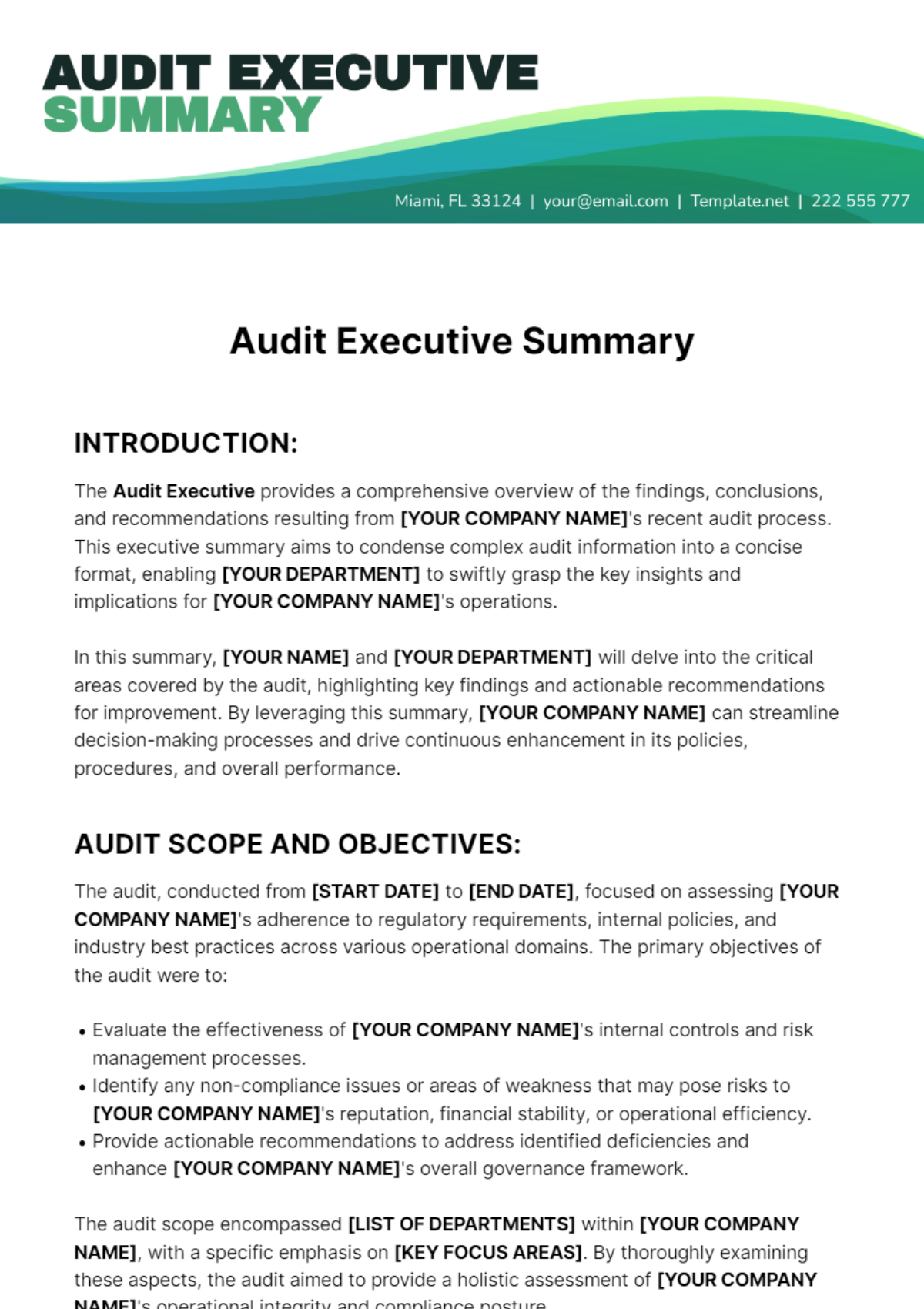 Audit Executive Summary Template