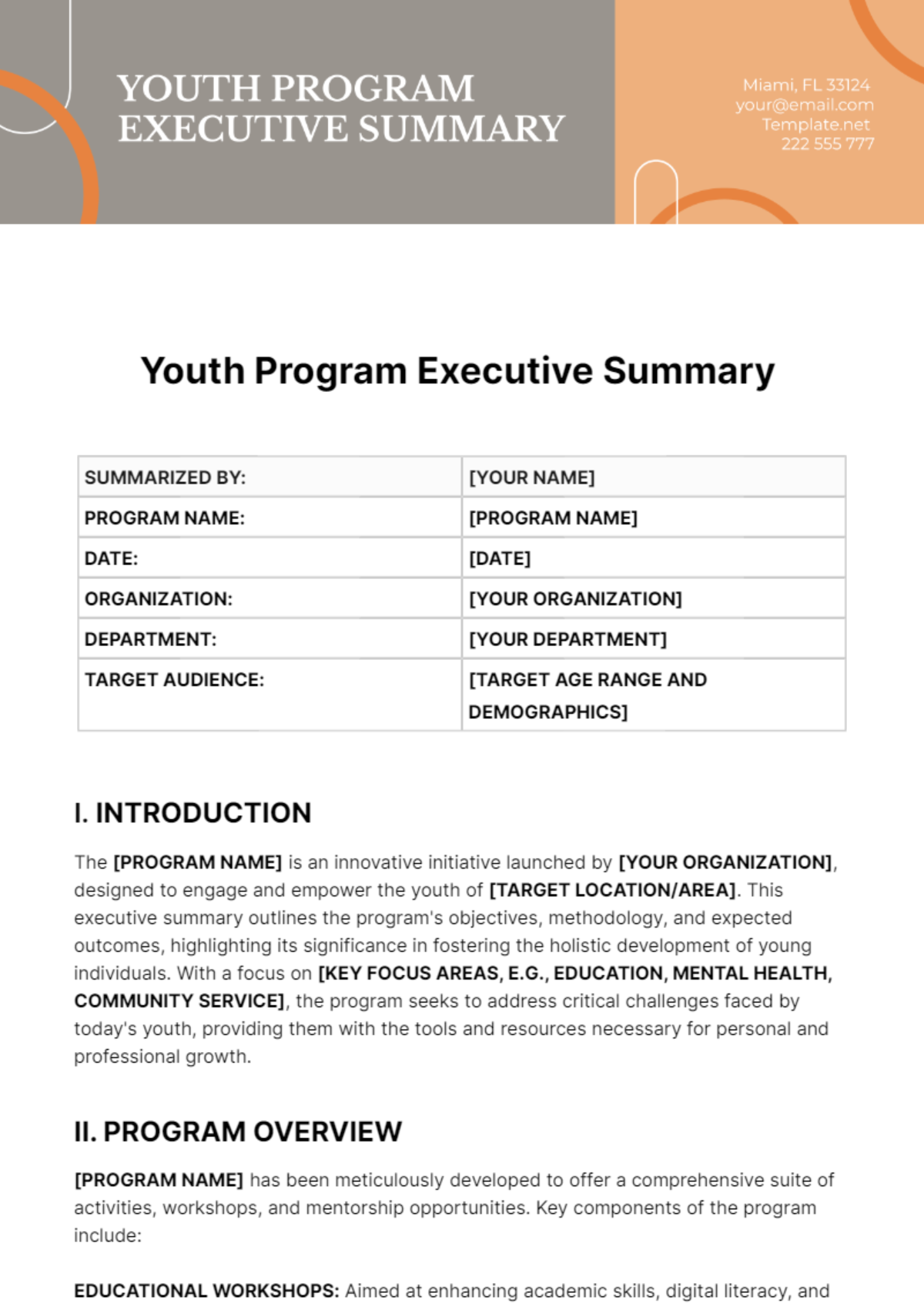 Youth Program Executive Summary Template
