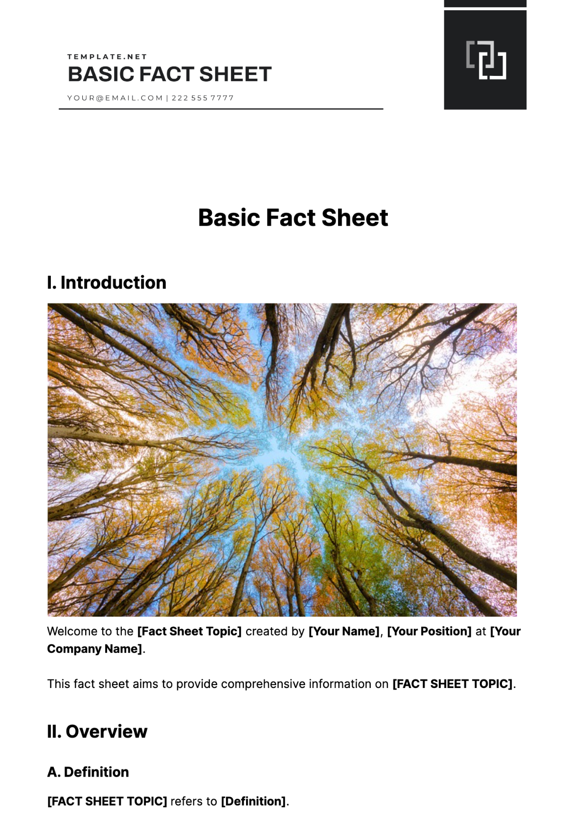Basic Fact Sheet Template