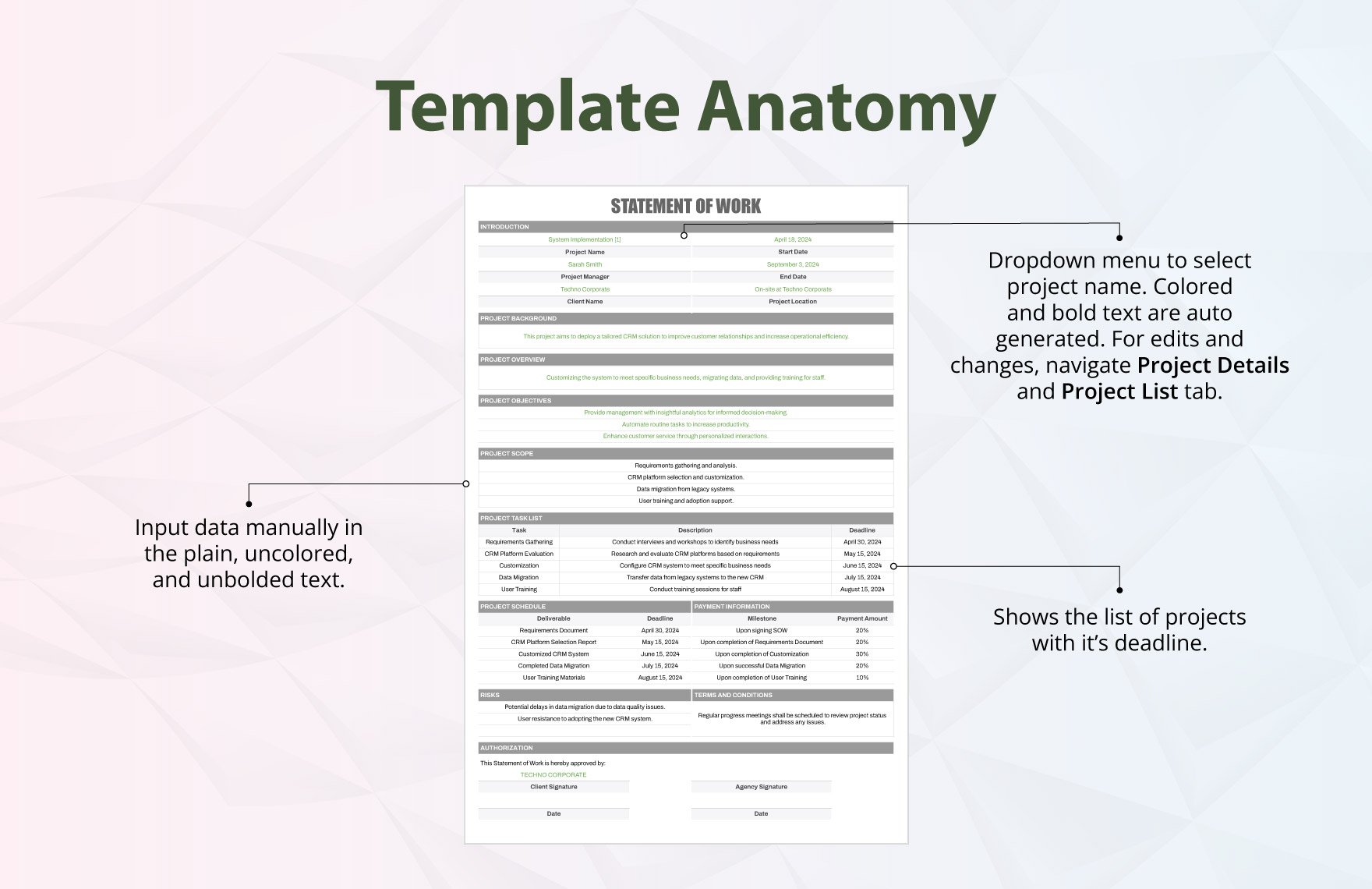 Manager Statement of Work Template