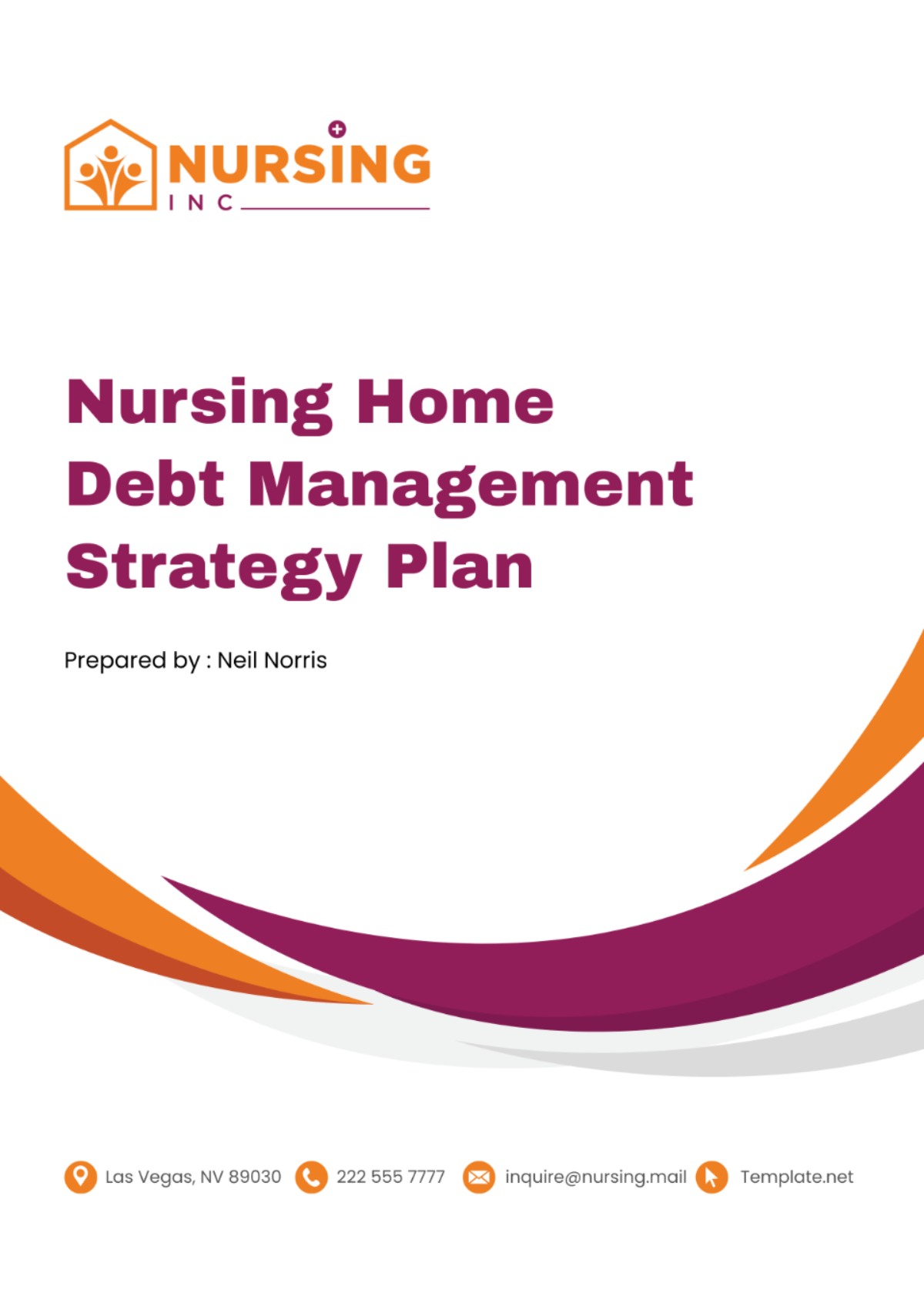 Free Nursing Home Debt Management Strategy Plan Template