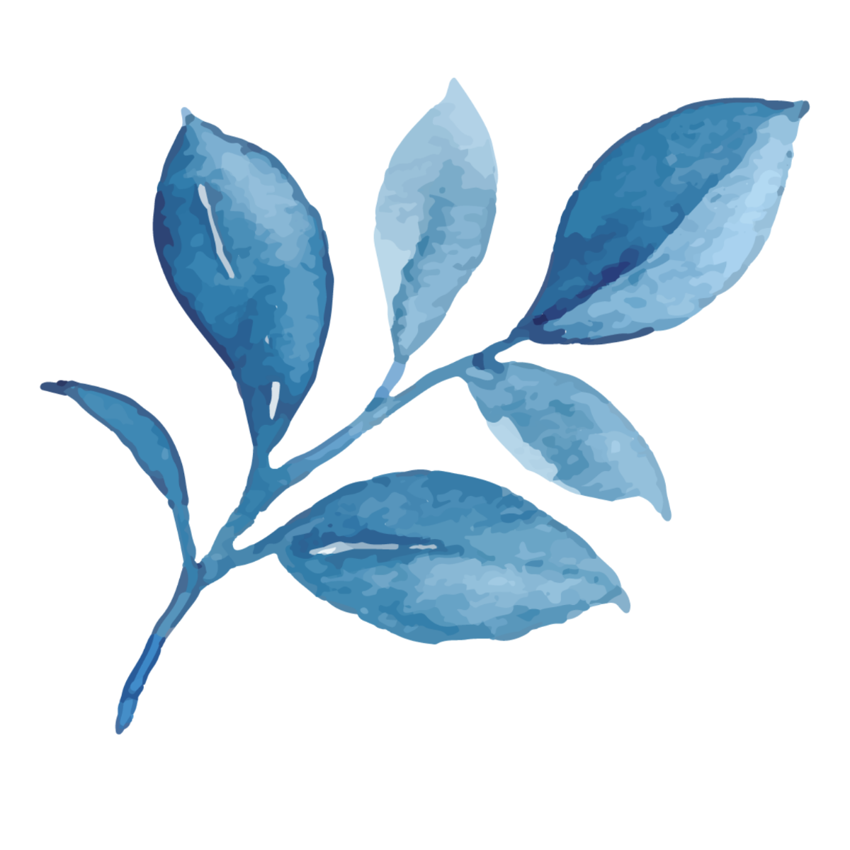 Simple Blue Watercolor Leaf